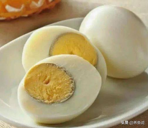 观赏鱼苗成长高级饲料，喂鱼苗吃这3样食物，养不好都难