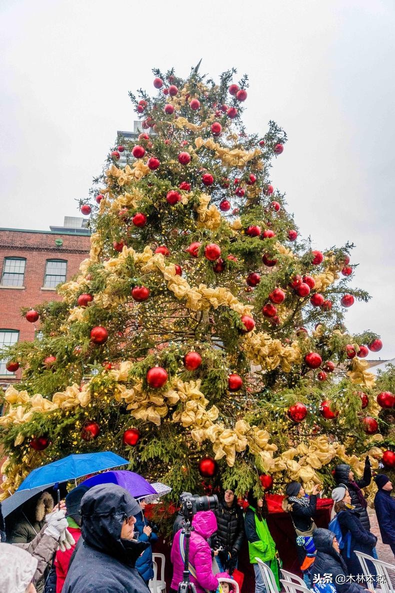加拿大多伦多生活日记,加拿大多伦多留学生活纪实