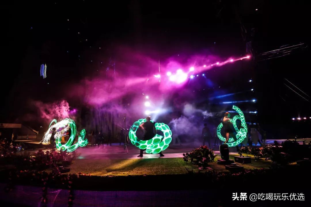 厦门灵玲动物王国大熊猫,厦门马戏团灵玲动物王国观光游览