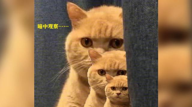 热度炸裂！和平精英全新SS2赛季上线，夏日极致清凉风来袭