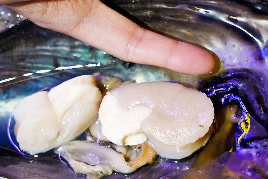 简易龙虾汤泡饭,打边炉花胶鸡汤泡饭做法