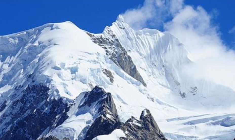 中国最好的野生天麻产地,西藏波密县哪家天麻基地最大