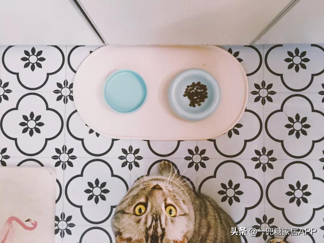 瀹跺眳鏀剁撼鏁寸悊濂界墿鎺ㄨ崘,瀹惰瀹炵敤濂界墿鍒嗕韩瀹跺眳鏀剁撼