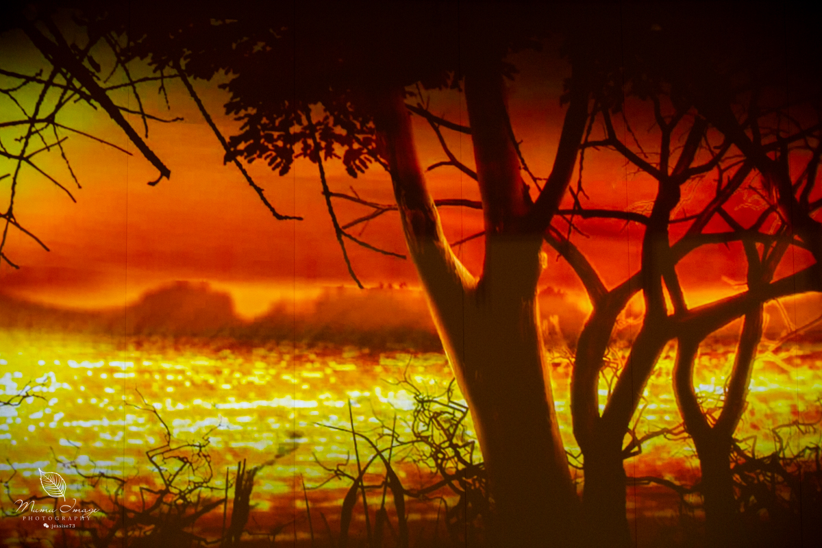 无锡灵山大佛抱佛脚视频,无锡灵山抱佛脚排队多久