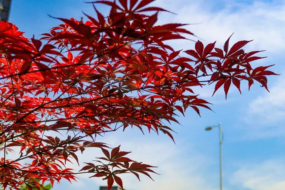 郑州市委王新伟,郑州王新伟公示