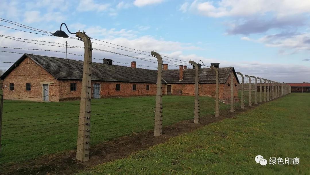 奥斯维辛集中营旅游,奥斯维辛集中营雏菊