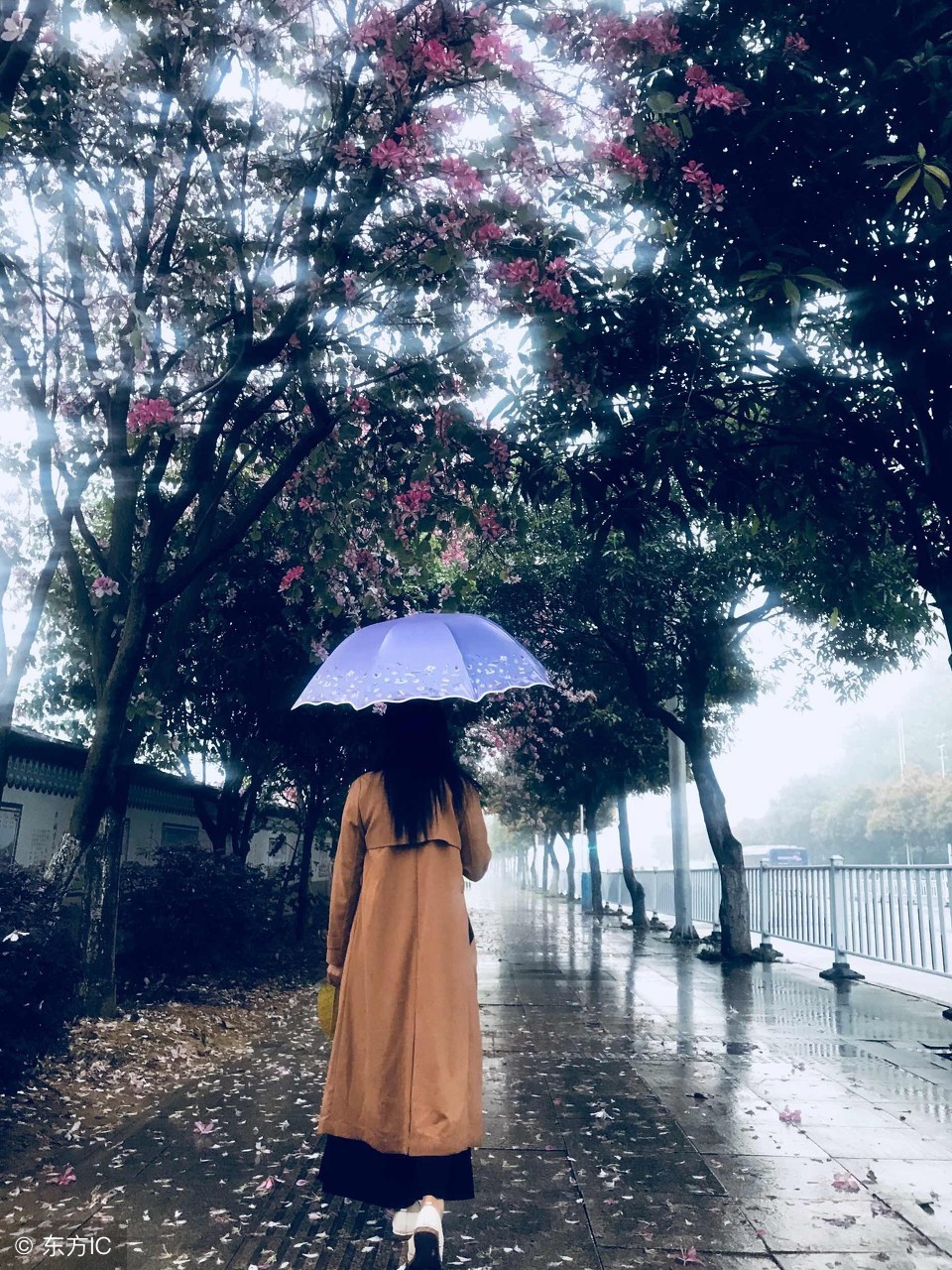 宋词精选三百章全文阅读1126章,颜渊山庄宋词精选三百章全文阅读