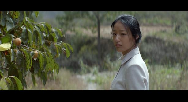 喊山被拐卖的女孩,喊山女主被拐卖