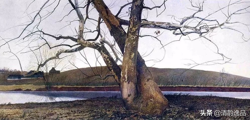 类似安德鲁怀斯的画家,安德鲁怀斯画家视频