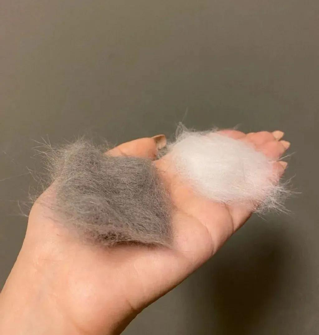 网友晒出5颗巨型毛球，救命！我快要窒息了