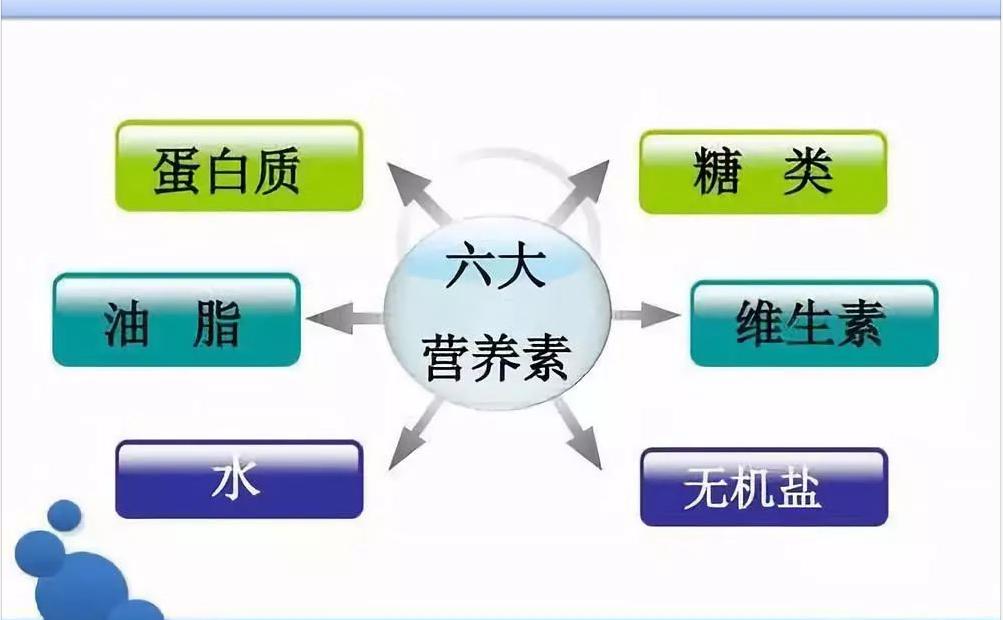 养牛全价饲料配方,养牛饲料配比数据图表