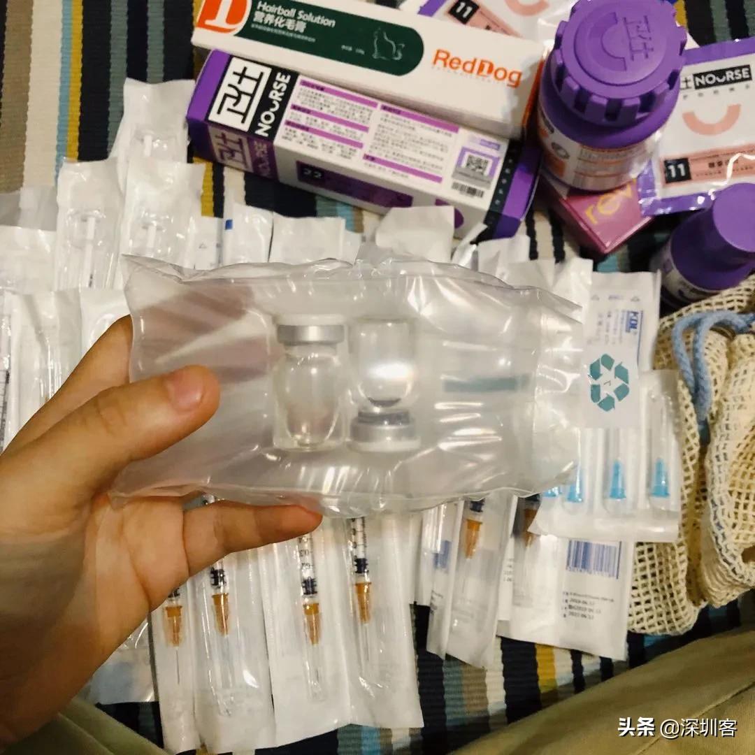 深圳猫市,深圳猫