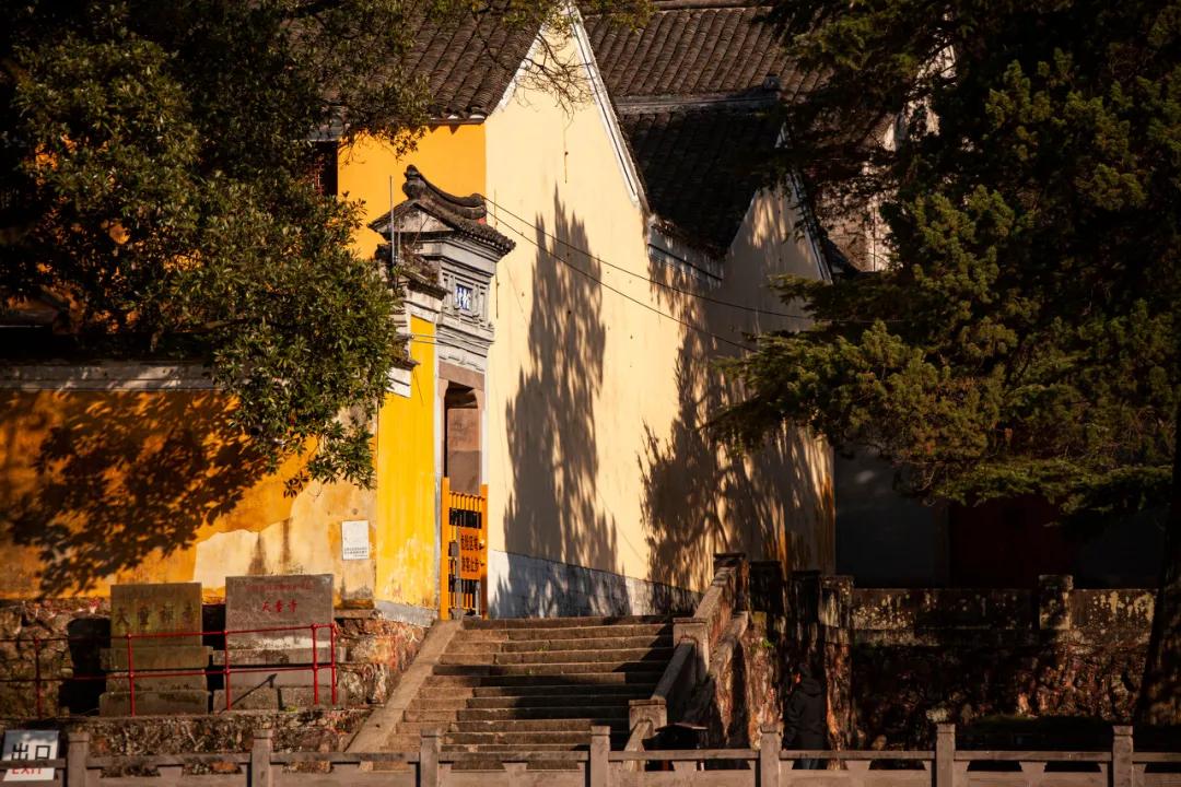 这该死的魅力原版搞笑,这该死的魅力完整版