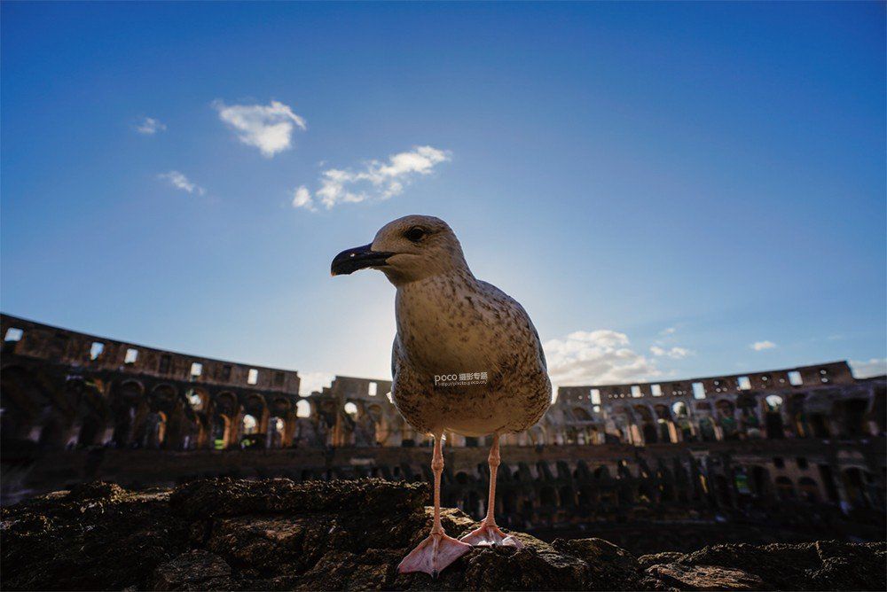 结合摄影知识谈如何拍好一张照片,如何拍出一张优美的照片摄影思路