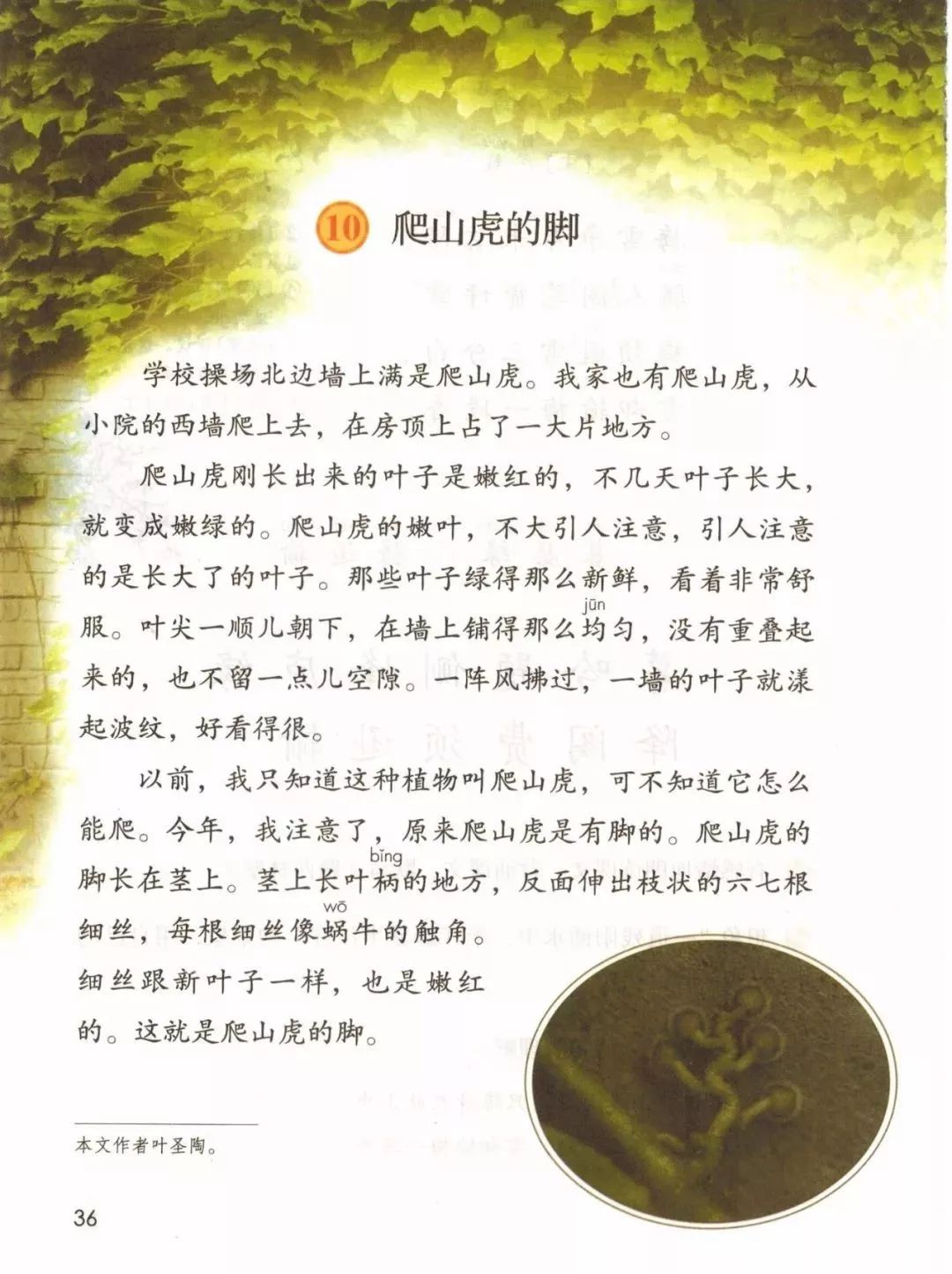 部编版四年级语文上册教材,部编版语文四年级上册电子课本