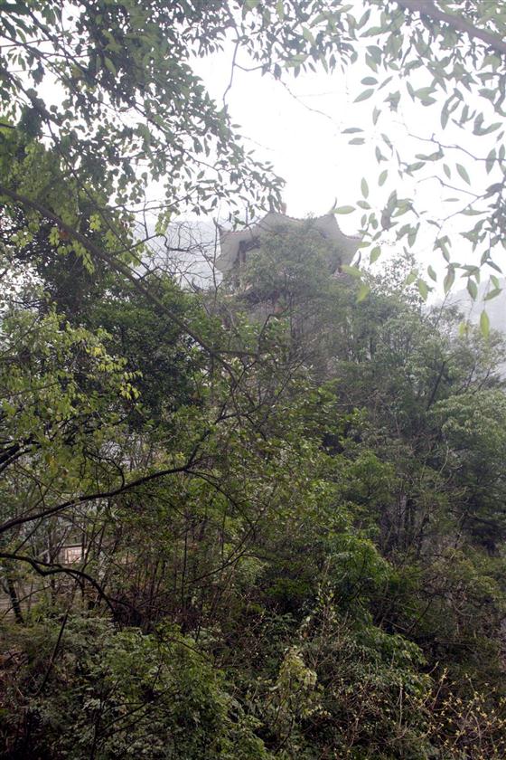 神龙峡：幽谷深深隐桃源