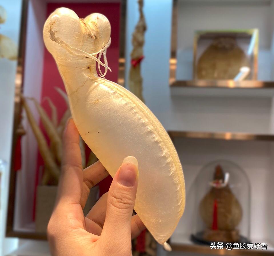 蜘蛛胶哪个产地值钱,真正的蜘蛛胶价格