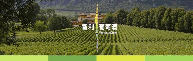 discovery招聘,discover招聘