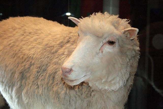 世界上真的存在蜘蛛侠吗,人类有可能变成蜘蛛侠吗