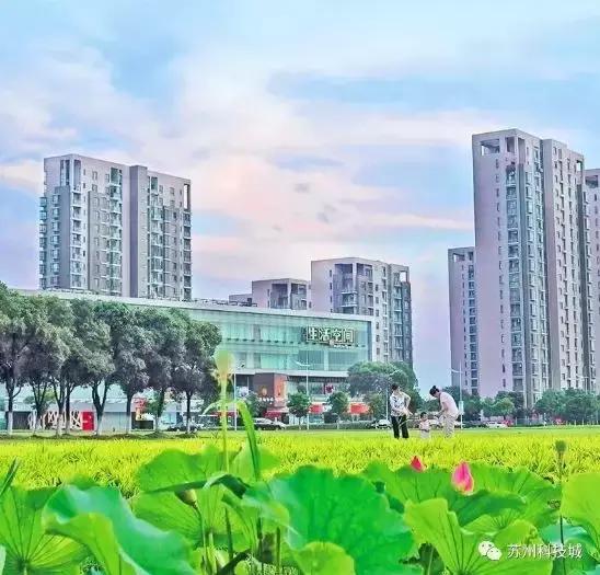苏州有几个科技城,苏州一个充满无限可能的城市