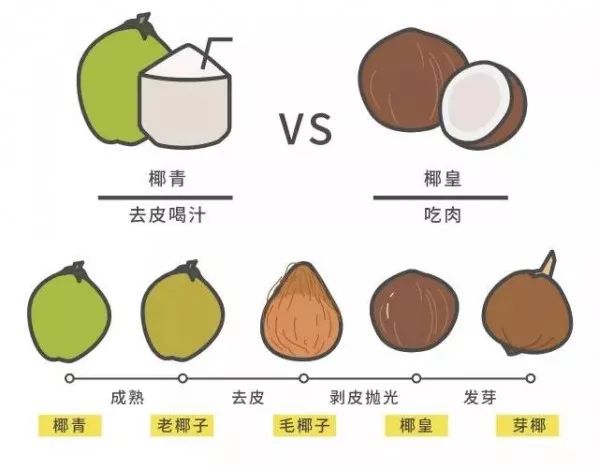 开椰子用口香糖,用口香糖开椰子告诉我们什么道理