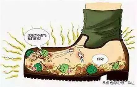 这颗风靡全世界的蛋，用着让人感觉好舒服