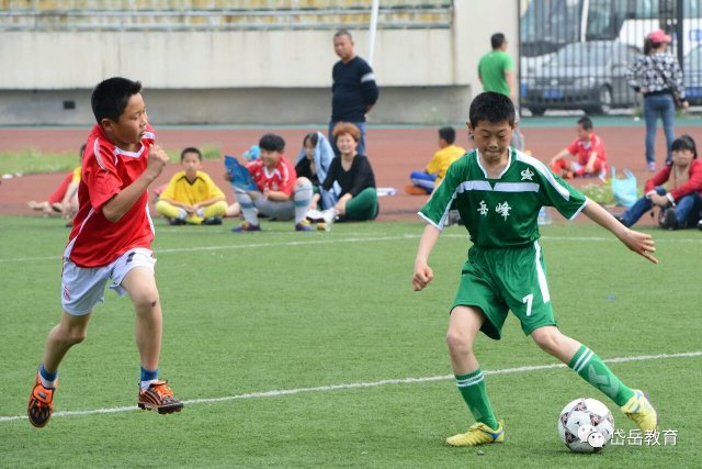 山东省政府表扬泰山俱乐部,泰安岱岳区校园足球