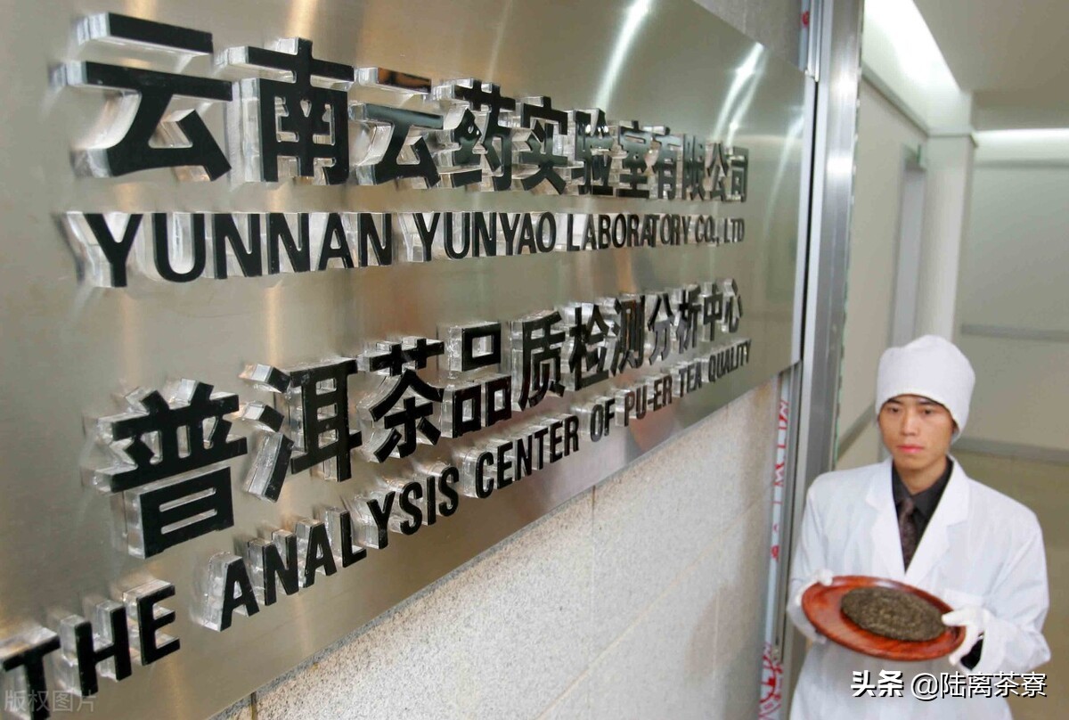 普洱茶熟茶检查出好多细菌,变质的普洱熟茶喝了会怎样