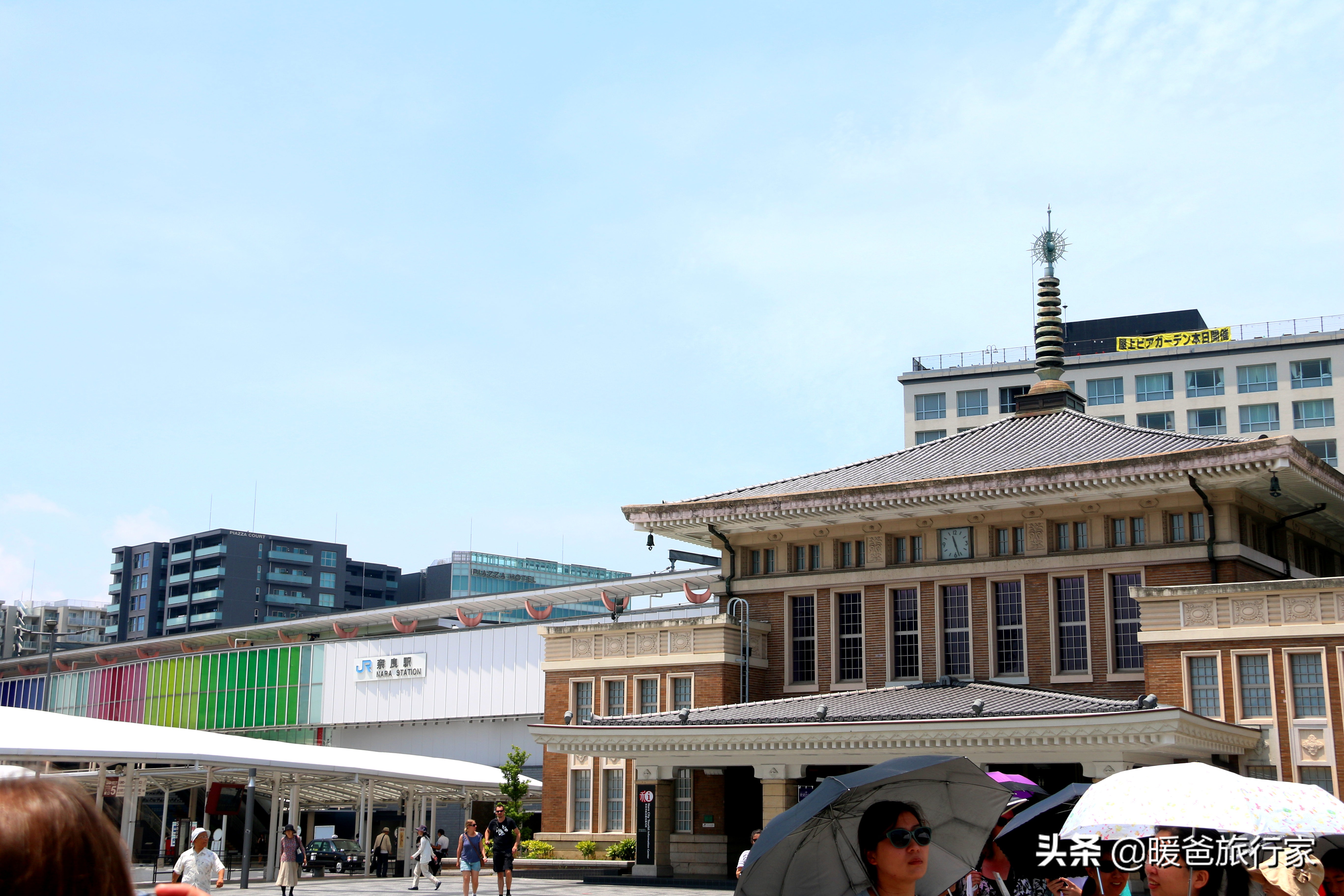 奈良旅行攻略,奈良寻鹿完整版视频