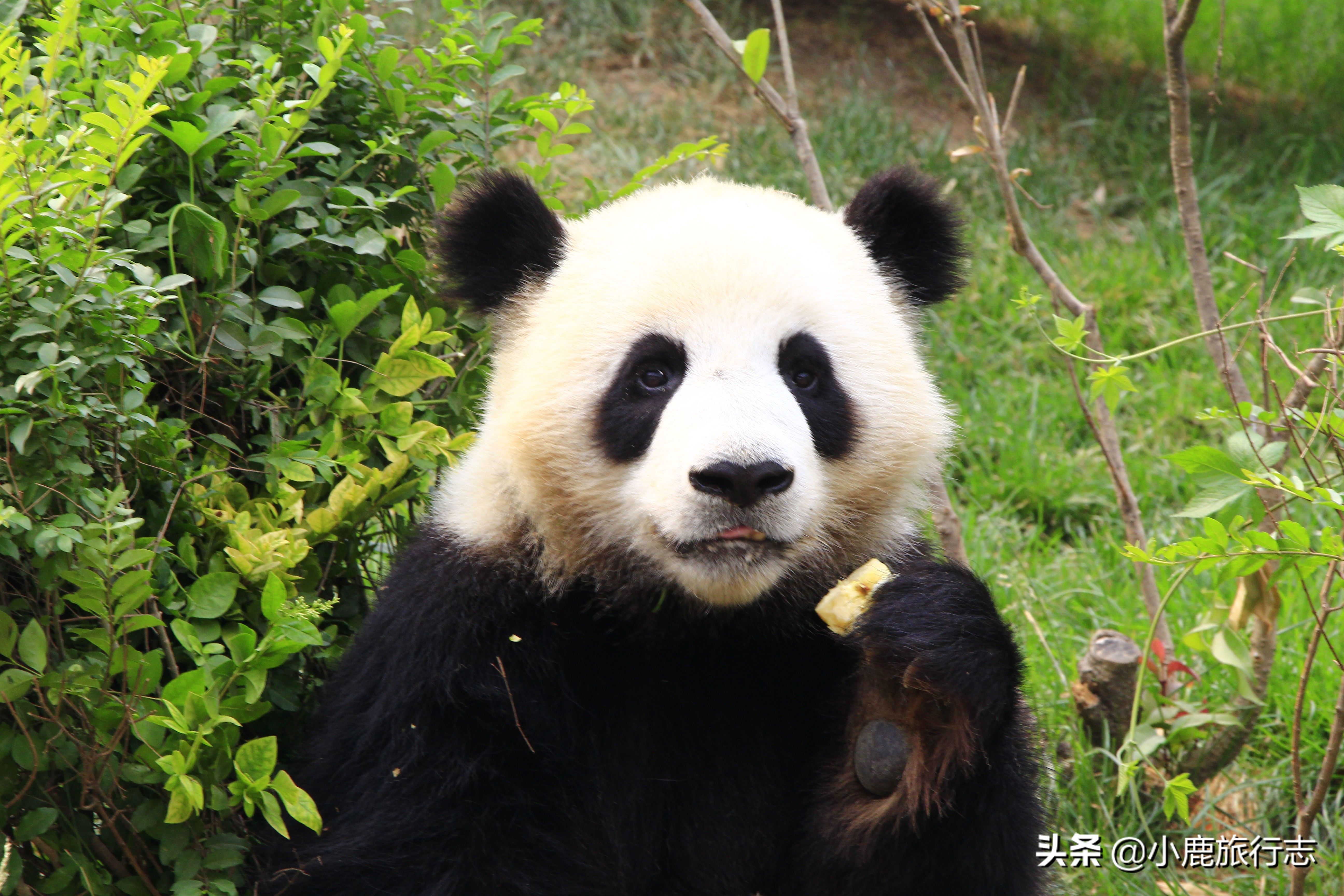 山西河南有什么好的景点,河南山西好玩的地方有哪些