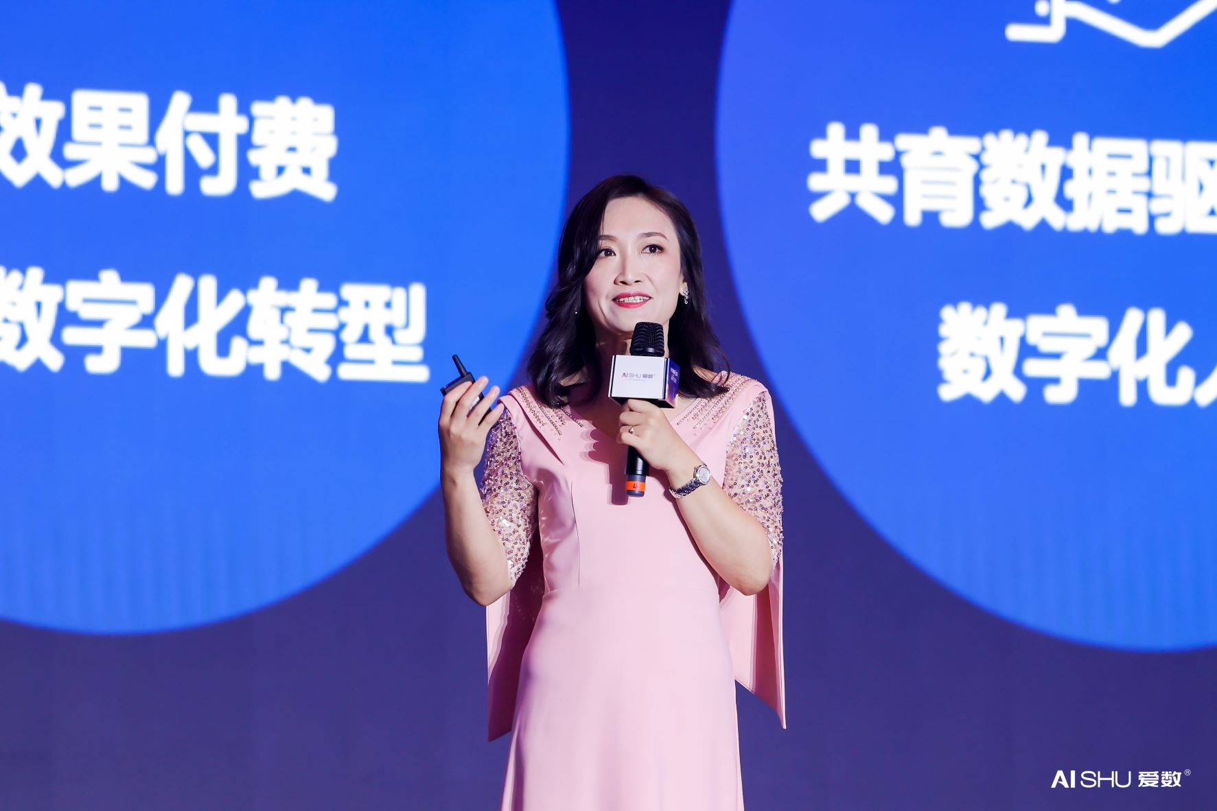 爱数，一个使命必达者的数据新丝路