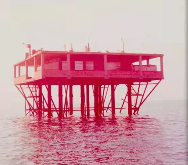 玫瑰岛的不可思议的历史哪看,玫瑰岛不可思议的历史免费观看