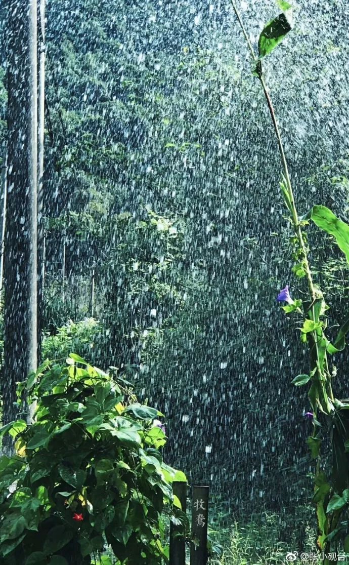 10年前，那个花83元穷游*藏西**的姑娘，后来怎么样了？