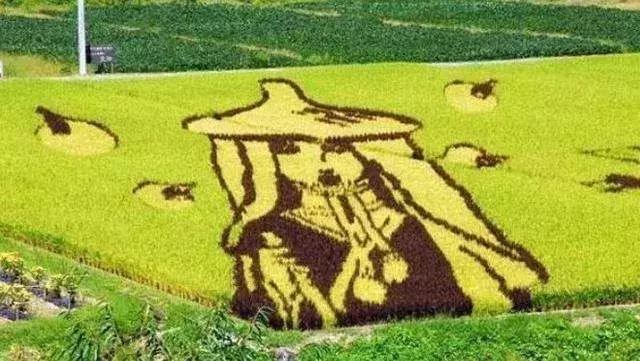 日本高科技农业有哪些,日本农业值得研究的点