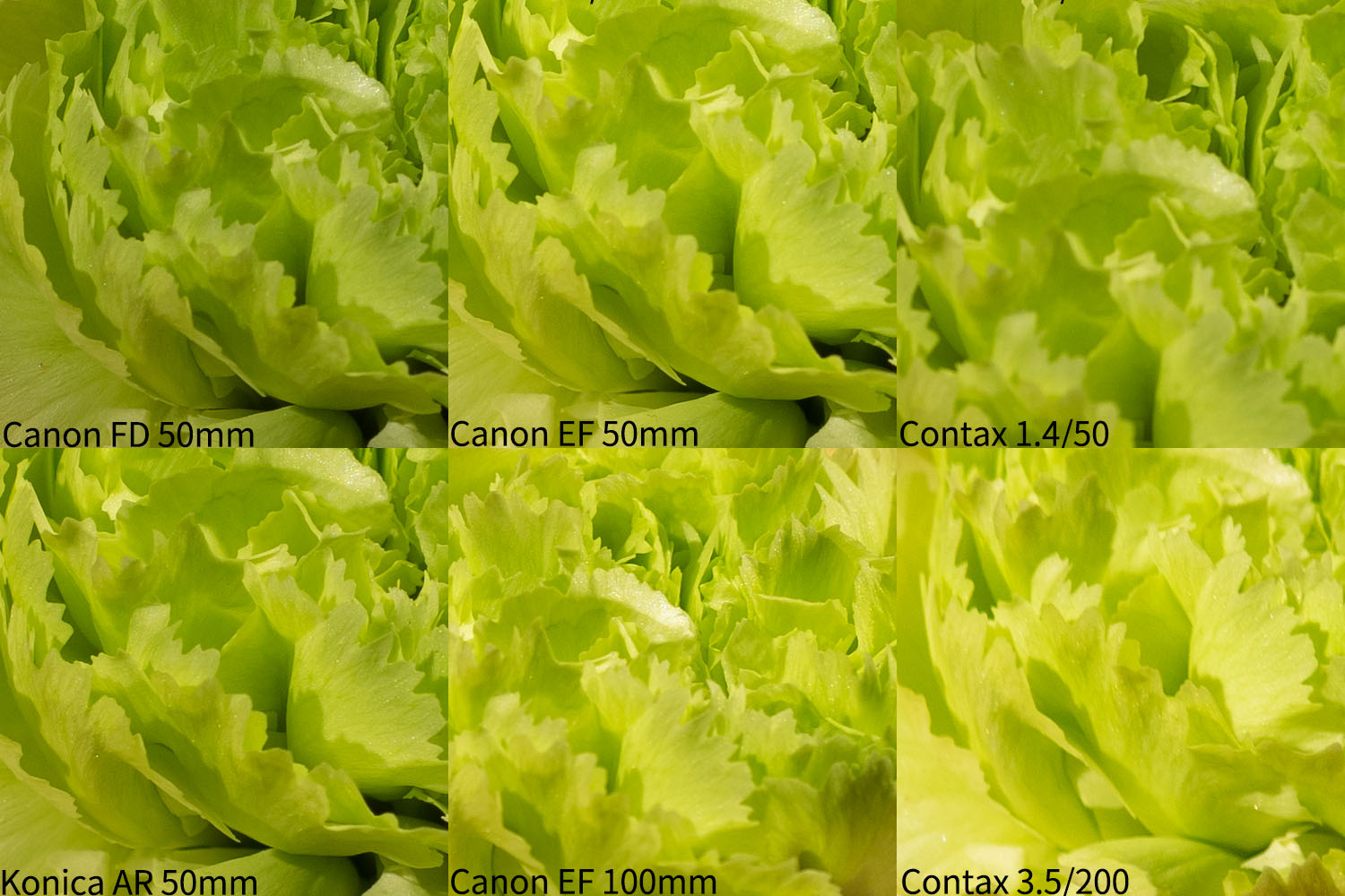 佳能新百微是最好的微距镜头吗,佳能百微最新镜头有哪些型号