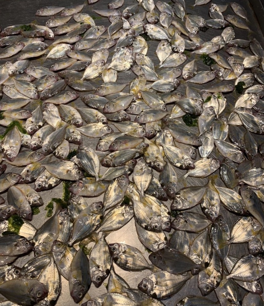 北海干货海鲜批发市场哪个便宜,北海菜市场买海鲜哪个最新鲜