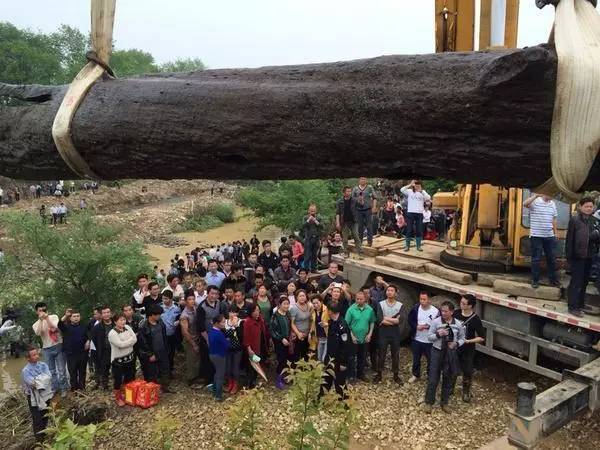 价值八个亿的金丝楠木,金丝楠木打造的老房子价值8个亿