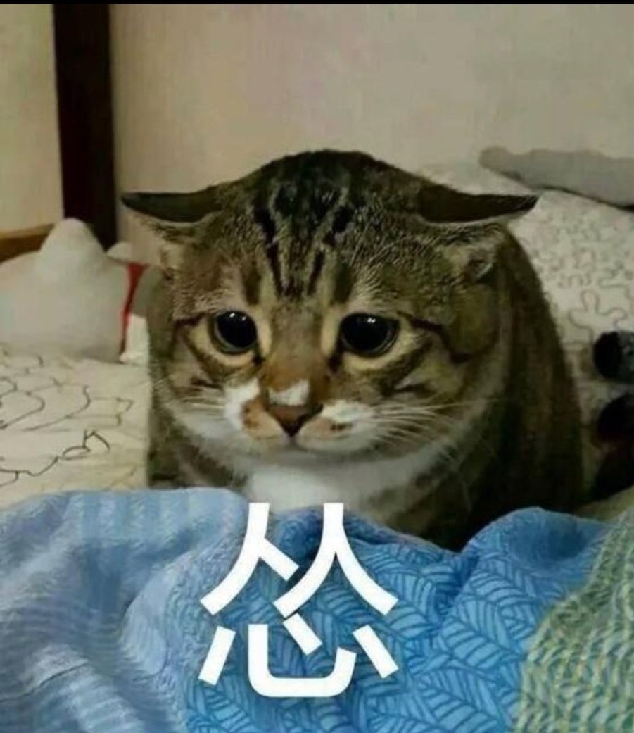 关中方言怂,陕西人说怂的顺口溜