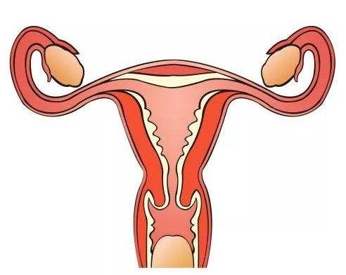 连续两次在8周胎停是什么原因,怀孕两次都胎停是什么原因