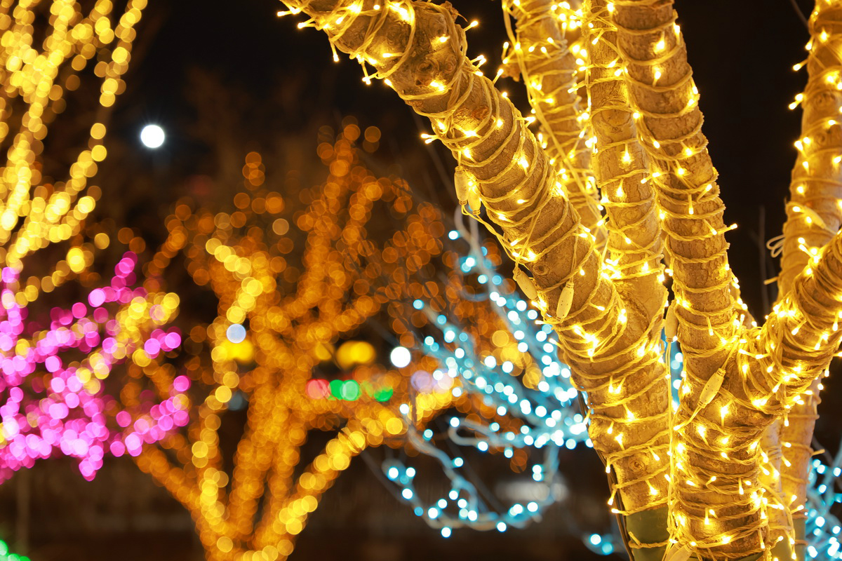 史上最轻便长焦利器佳能RF70-200mmF4L镜头评测