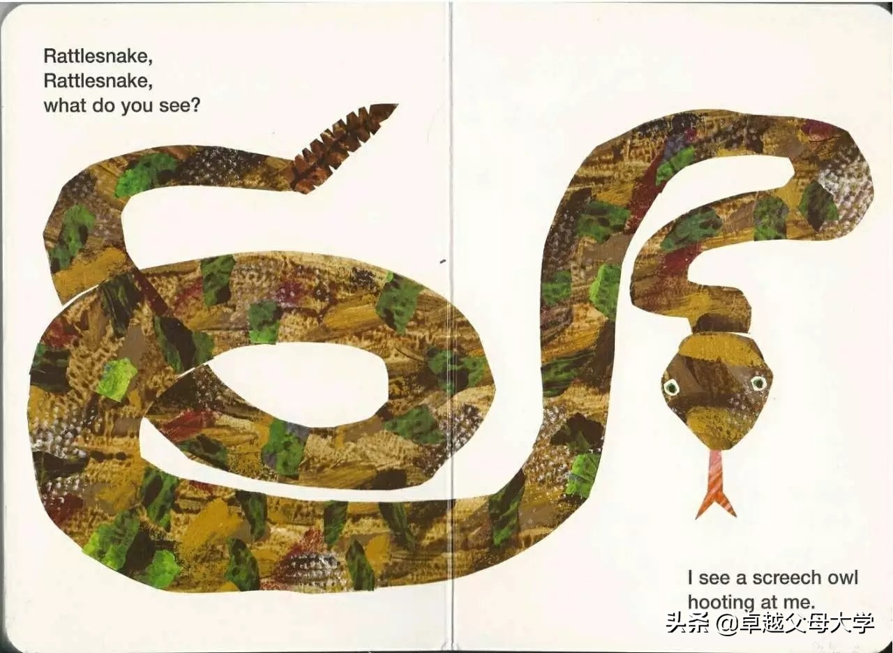 babybear英文绘本,babybearwhatdoyousee绘本