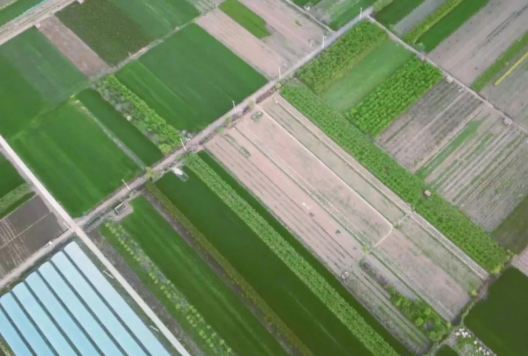 东莞土地现状,东莞土地利用问题