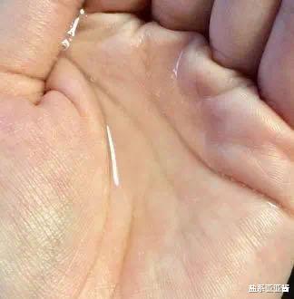 日本cosme药妆大赏,coser必备护肤好物盘点