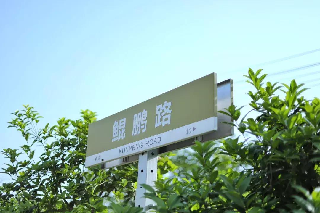 中南路事件,关于中南的那些事短剧