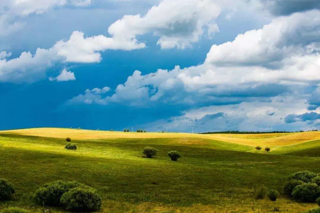 突然想去新疆旅游,突然好想去呼伦贝尔