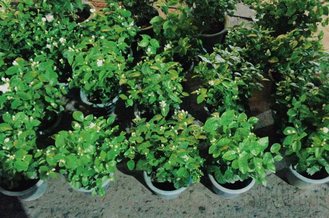 快看，这是魔幻字体的热闹江湖