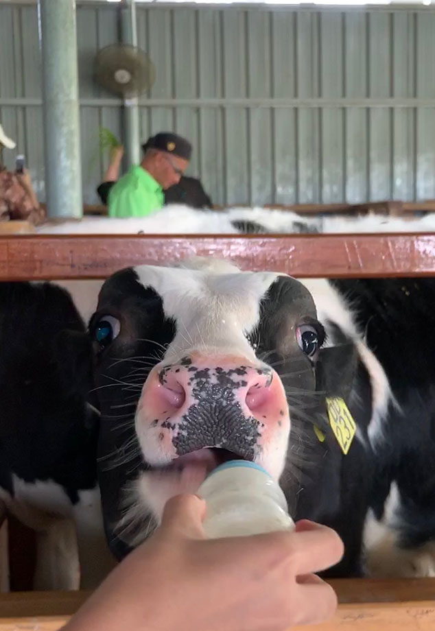 沙巴攻略详细介绍 (沙巴8天攻略)