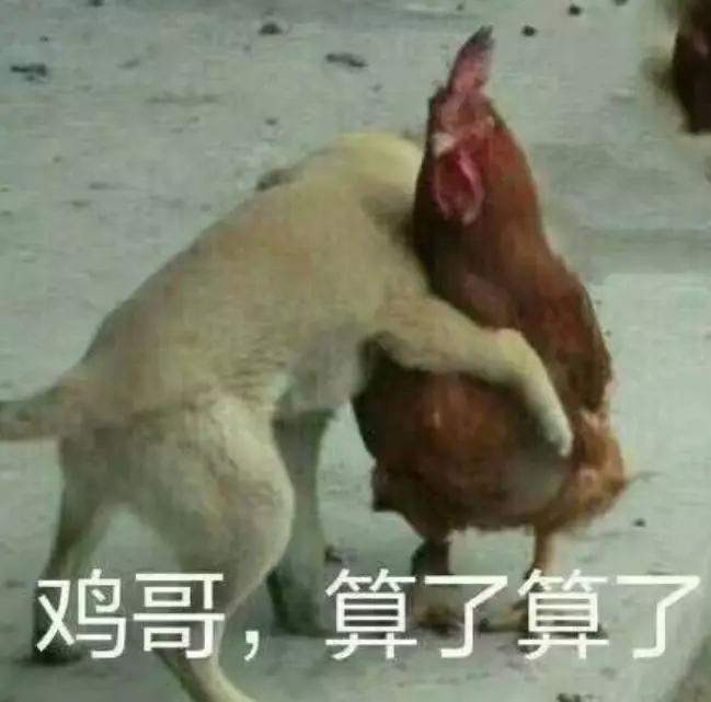 中国男篮历史上最大的斗殴事件,中国男篮打架十大人物