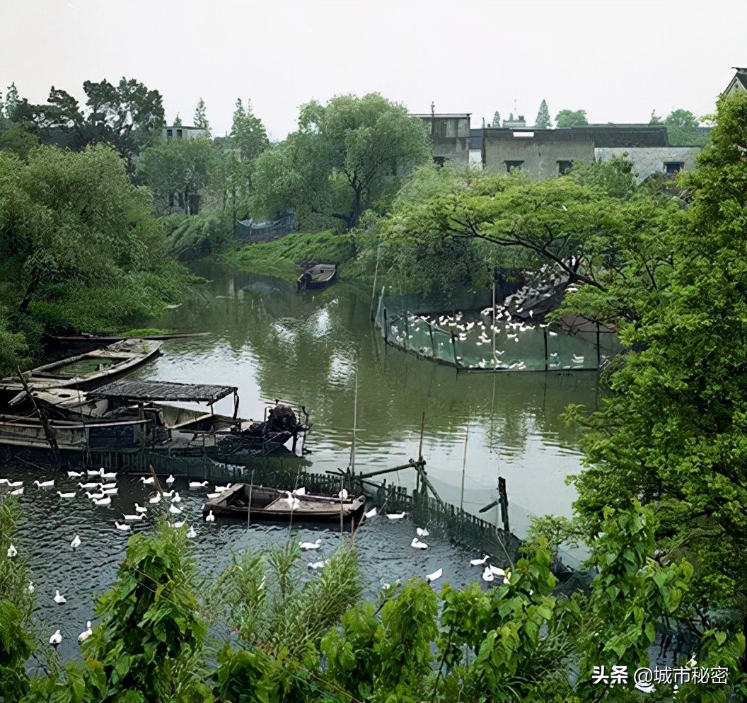 江南100，杭州99