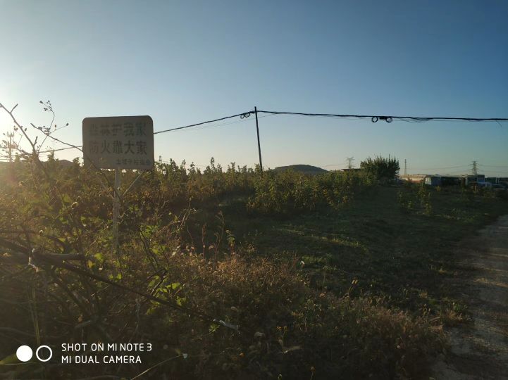 大连长兴岛长城,大连长城4s店